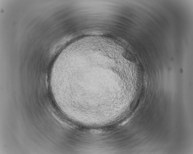 X0000053140302200508012250