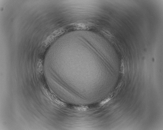X0000053140318200508012250