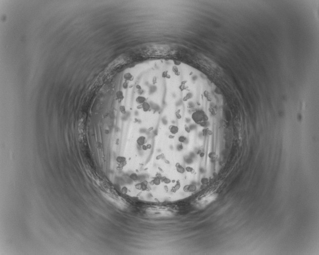 X0000053140326200508012250