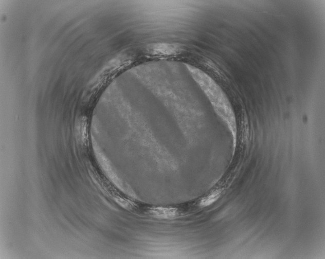 X0000053140328200508012250