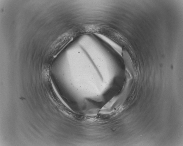 X0000053140329200508012250
