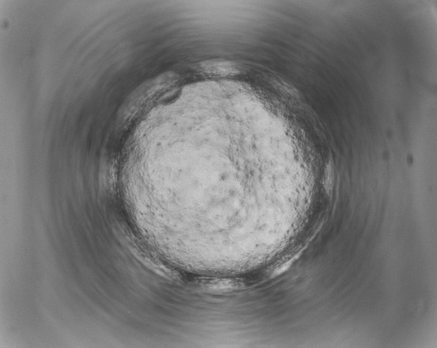 X0000053140330200508012250