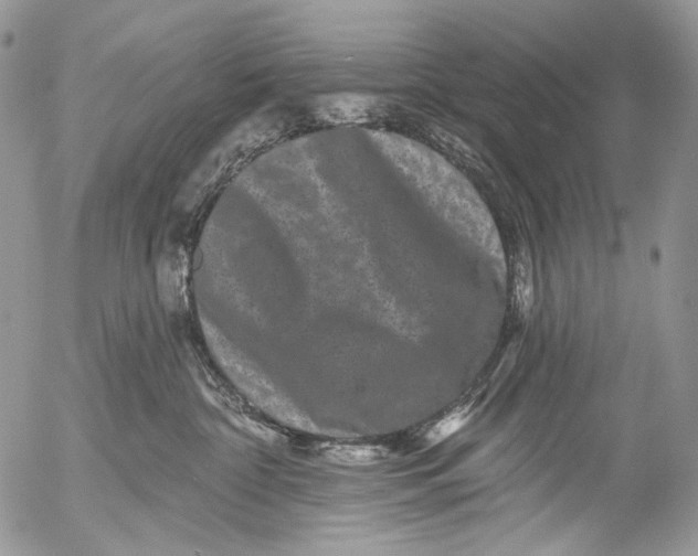 X0000053140332200508012250