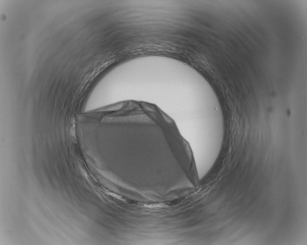 X0000053140360200508012249