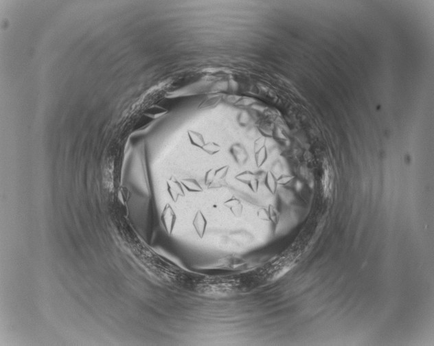 X0000053140368200508012250