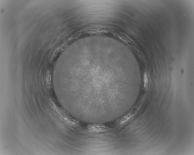 X0000053140372200508012250