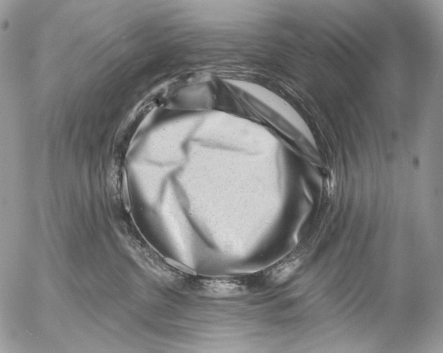 X0000053140380200508012250