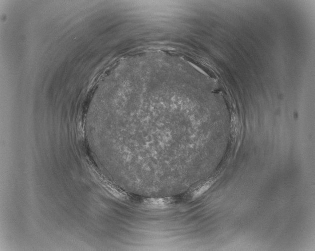 X0000053140381200508012250
