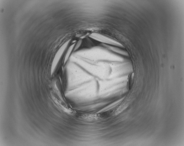 X0000053140384200508012250