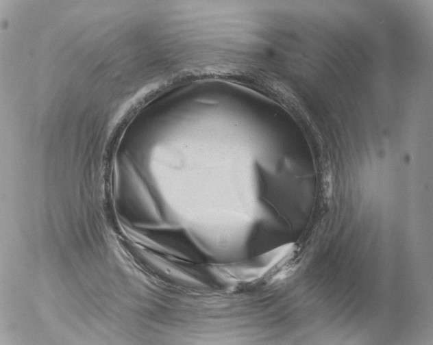 X0000053140395200508012249
