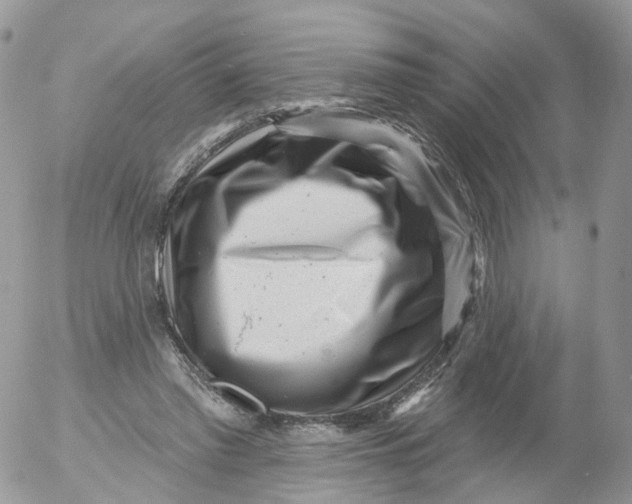 X0000053140397200508012249