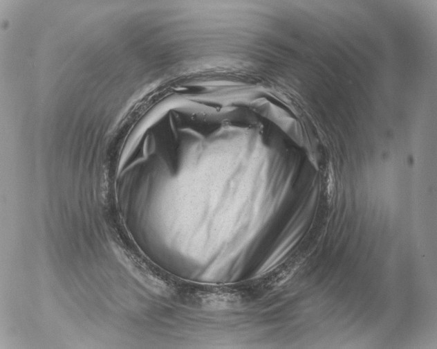 X0000053140400200508012249