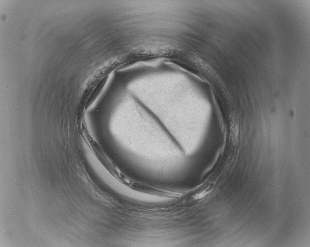 X0000053140403200508012249