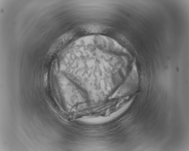 X0000053140406200508012249