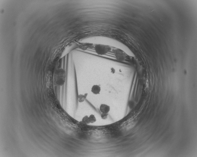 X0000053140412200508012249