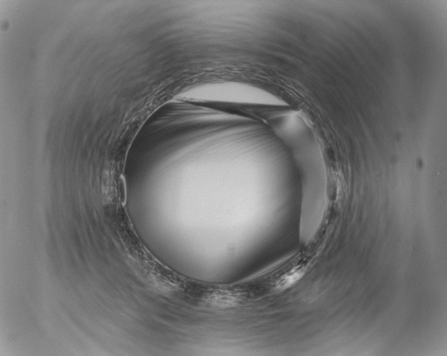 X0000053140416200508012249