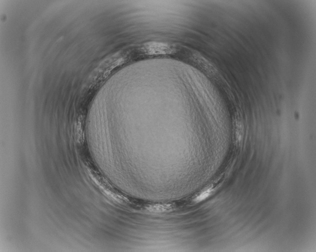 X0000053140422200508012248