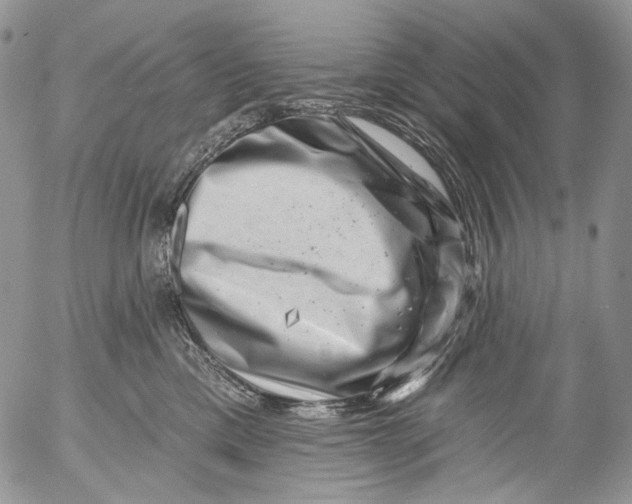 X0000053140425200508012248