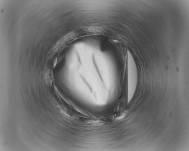 X0000053140428200508012248