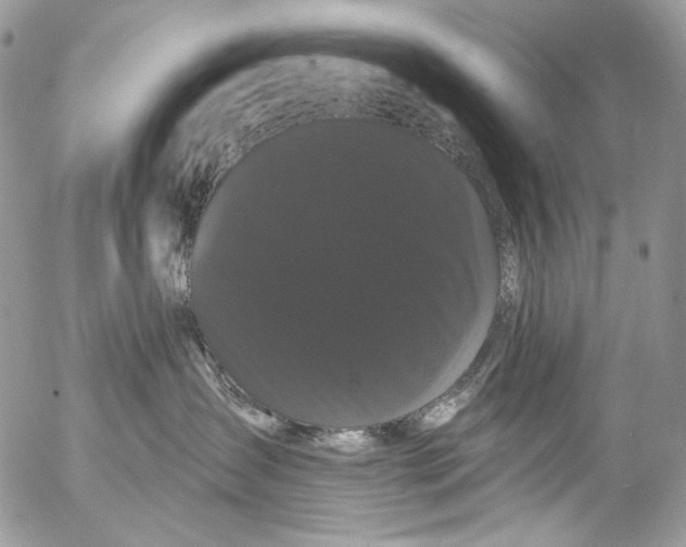 X0000053140431200508012248