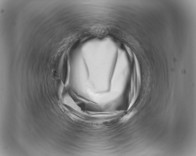X0000053140432200508012248