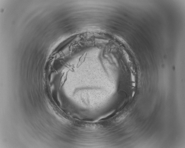 X0000053140439200508012248