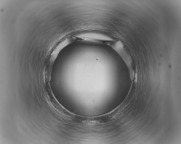 X0000053140448200508012248