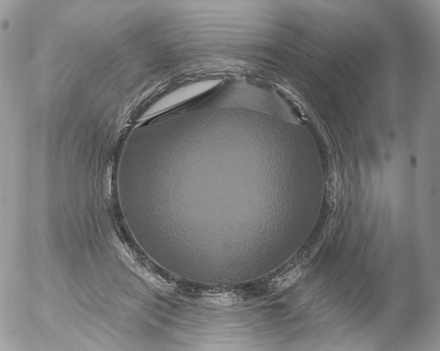 X0000053140454200508012248