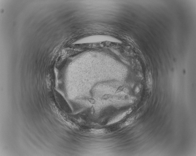 X0000053140457200508012248