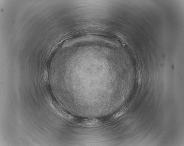 X0000053140459200508012248