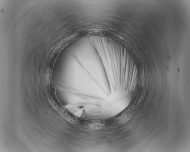 X0000053140468200508012248