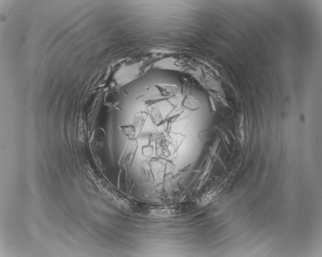 X0000053140470200508012248