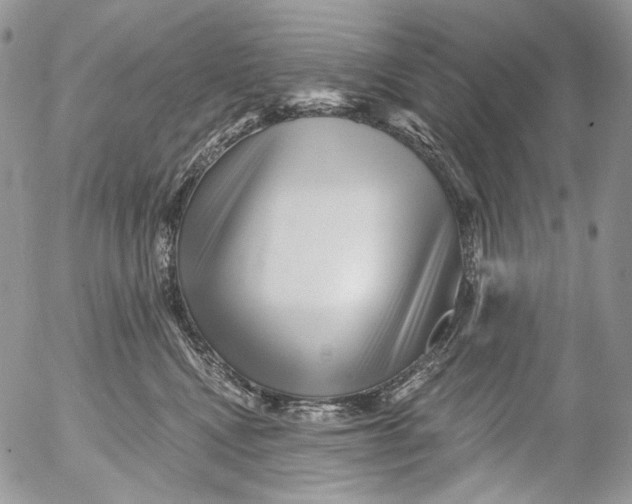 X0000053140472200508012248