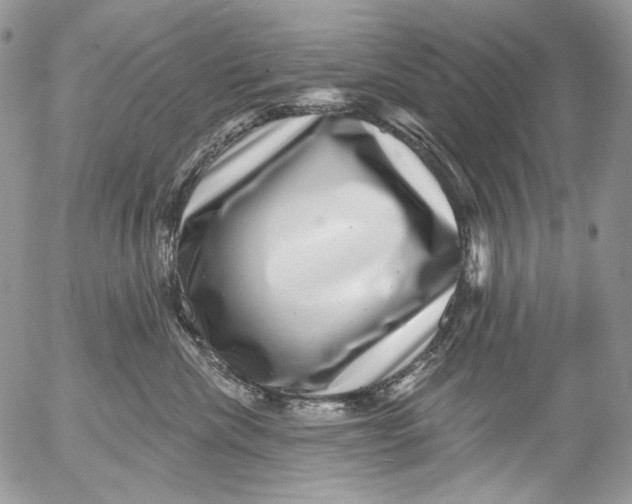 X0000053140476200508012248