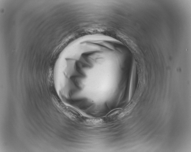 X0000053140480200508012248