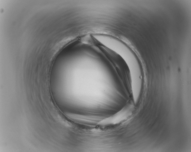 X0000053140481200508012247