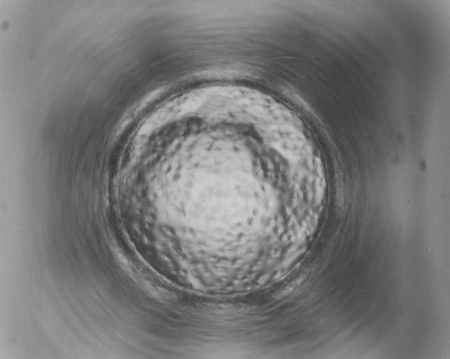 X0000053140486200508012247
