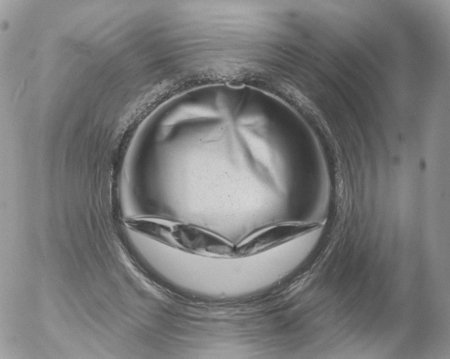X0000053140493200508012247