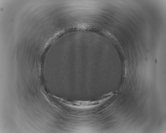 X0000053140496200508012247