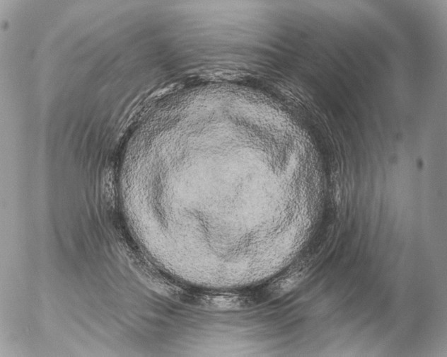 X0000053140506200508012247