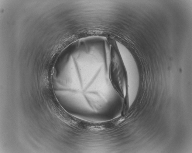 X0000053140508200508012247