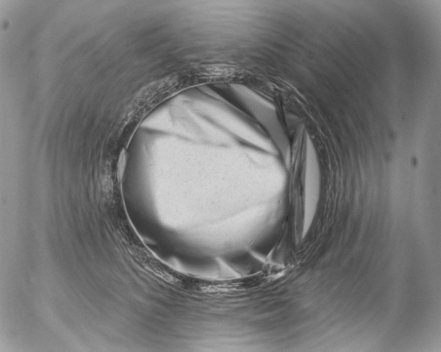 X0000053140516200508012247