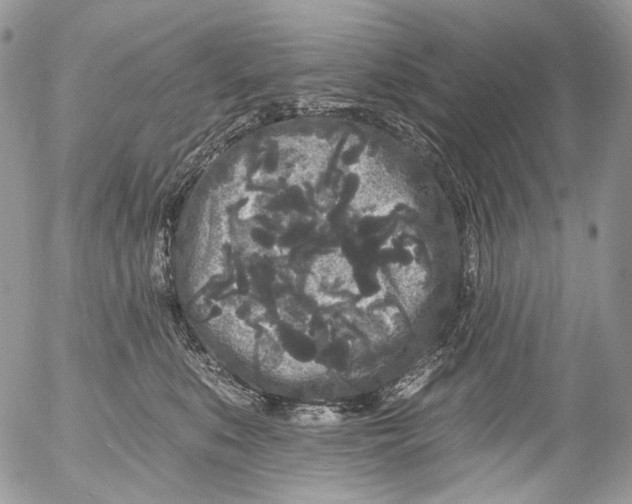 X0000053140519200508012247