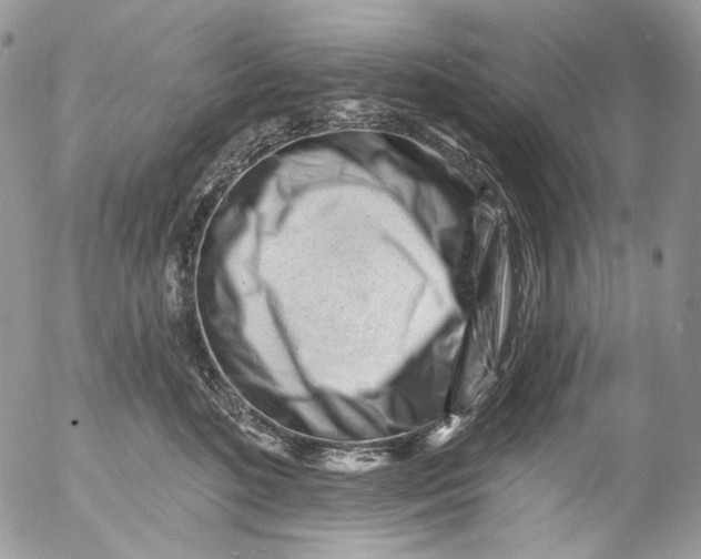 X0000053140520200508012247
