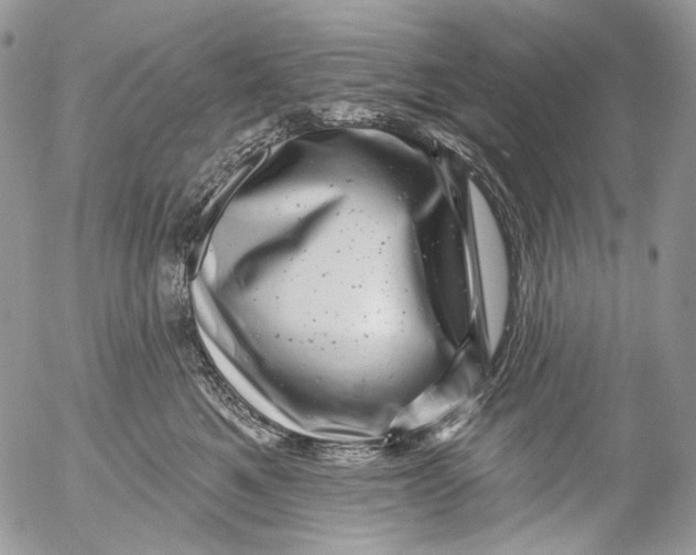 X0000053140521200508012247