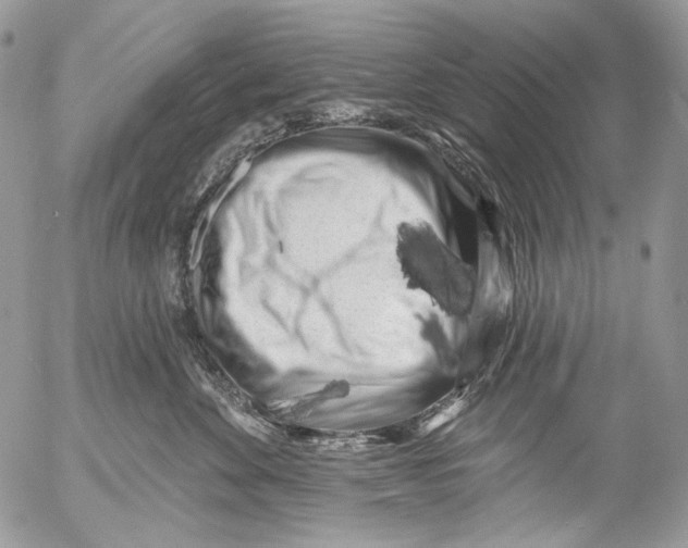 X0000053140524200508012247