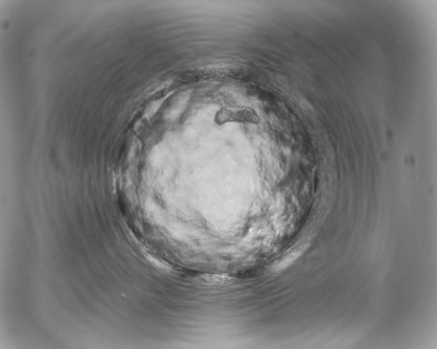X0000053140528200508012247