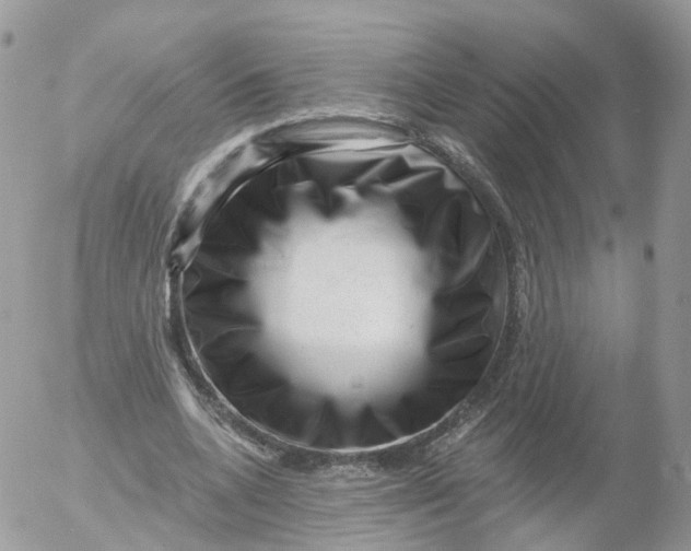 X0000053140536200508012246