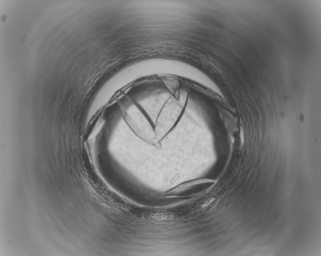 X0000053140546200508012246