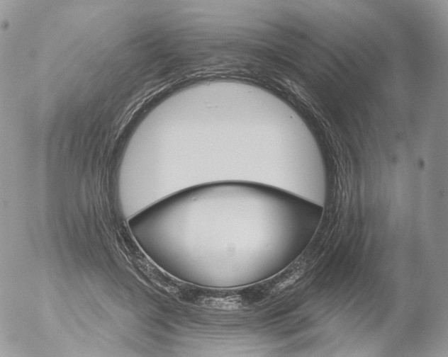 X0000053140548200508012246